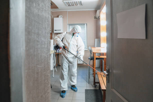 Best Mold Odor Removal Services  in Monette, AR