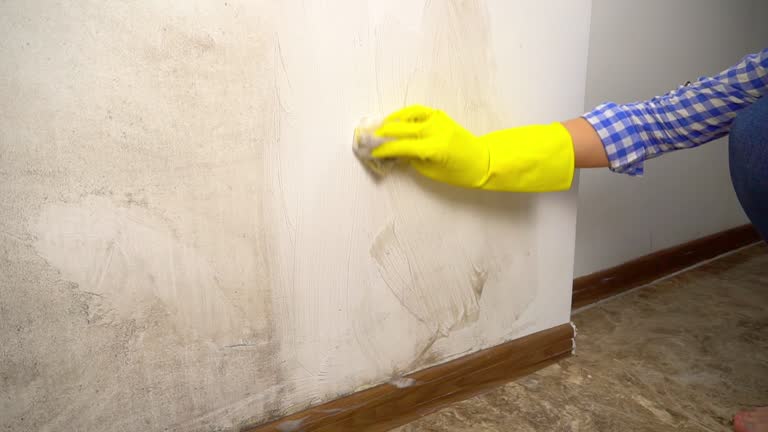 Best Commercial Mold Inspection  in Monette, AR