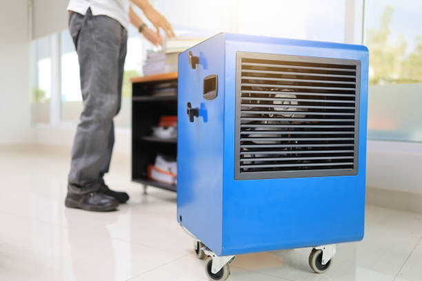 Dehumidification Services in Monette, AR