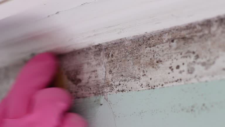 Best Residential Mold Inspection & Testing  in Monette, AR